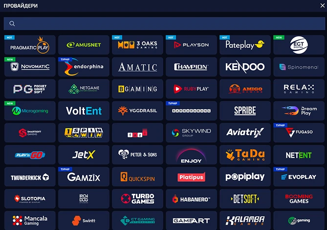 Провайдери програмного забезпечення
